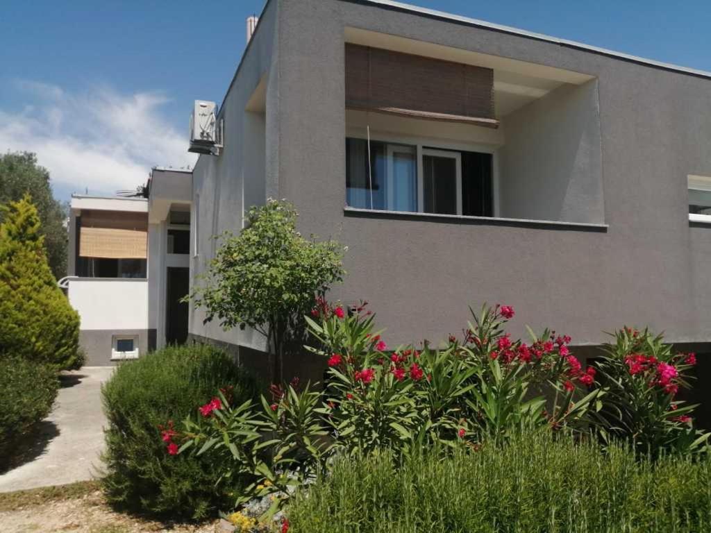 ביבינייה Apartments Dora 2 מראה חיצוני תמונה