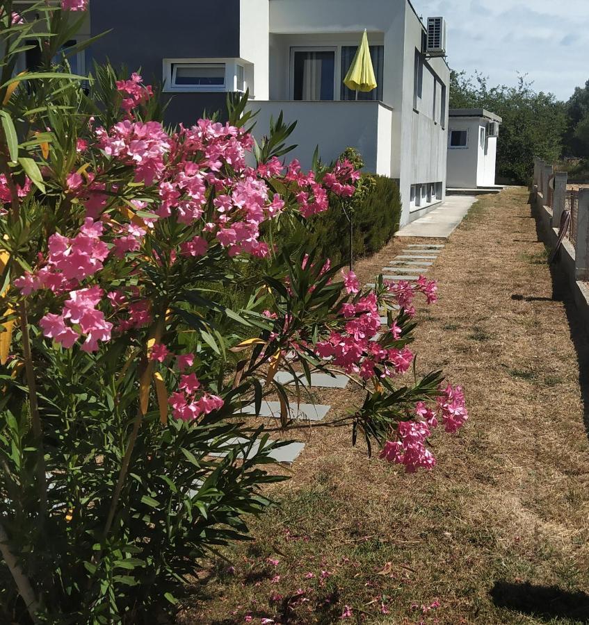ביבינייה Apartments Dora 2 מראה חיצוני תמונה